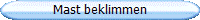 Mast beklimmen
